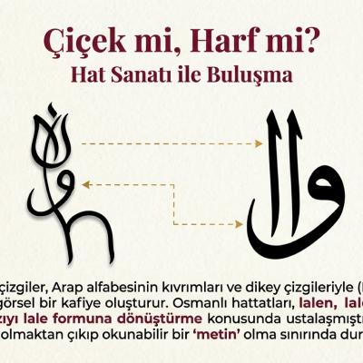 Tulip Code Sixty Six Page 0006