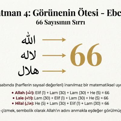 Tulip Code Sixty Six Page 0007